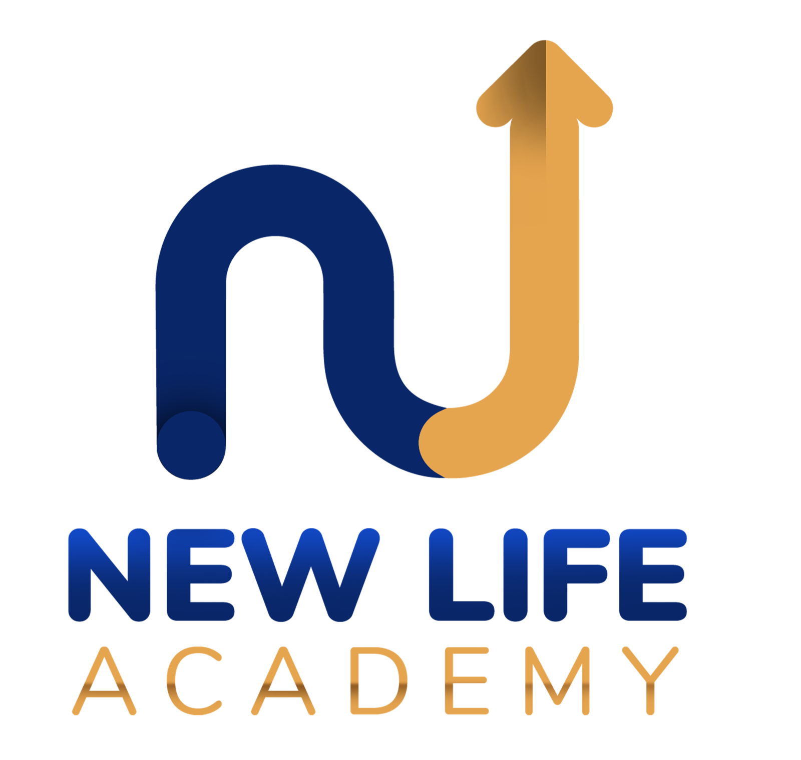NewLife logo